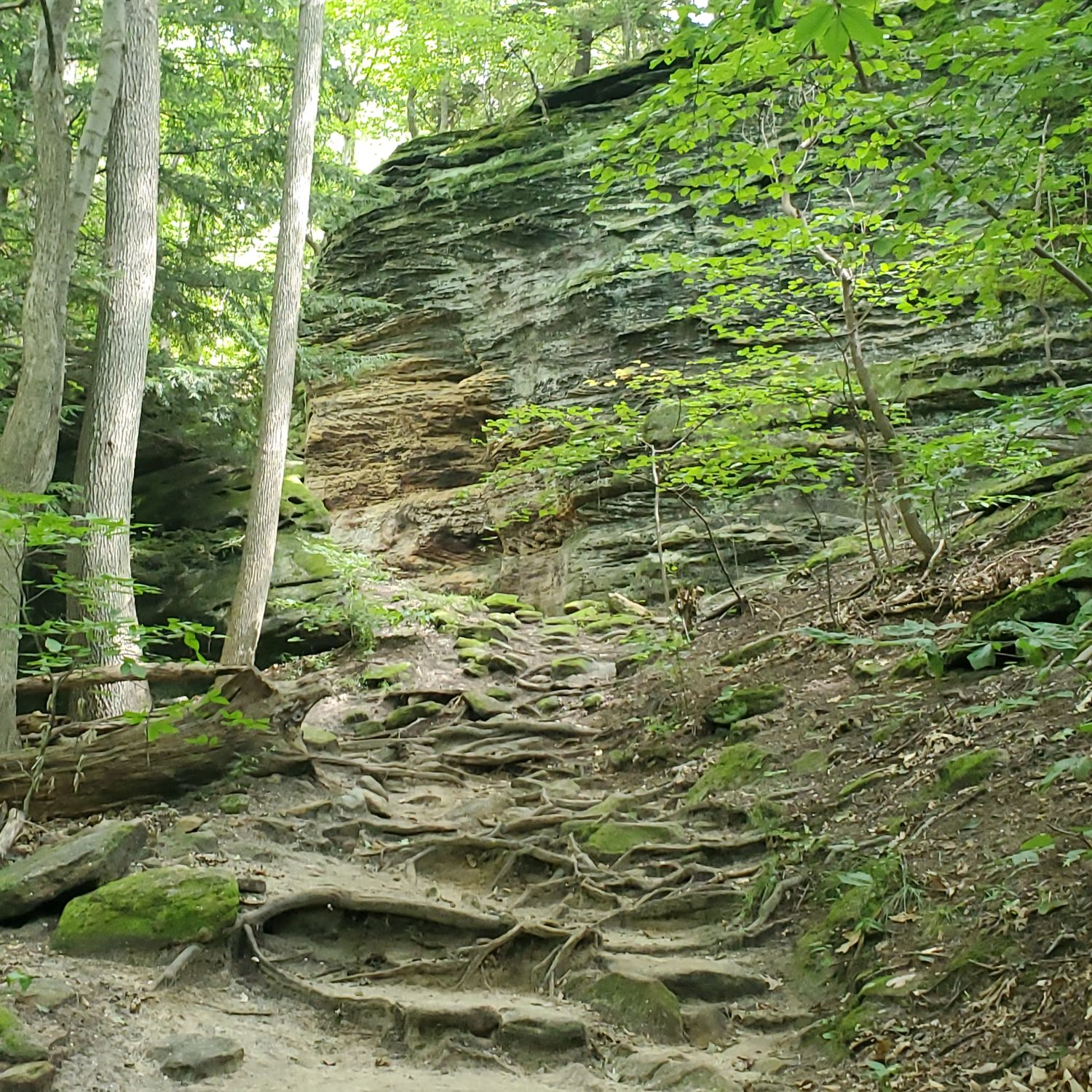 Ledges and Pine Grove Trails 